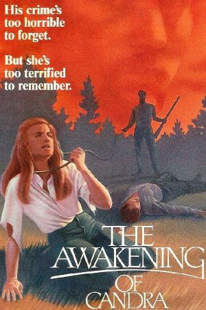 The Awakening of Candra's poster