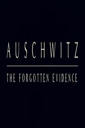 Auschwitz: The Forgotten Evidence's poster
