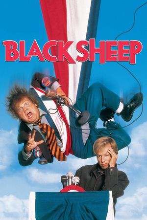 Black Sheep's poster