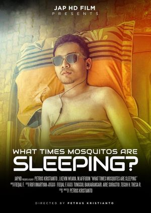 What Times Mosquitos Are Sleeping?'s poster