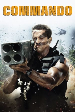 Commando's poster