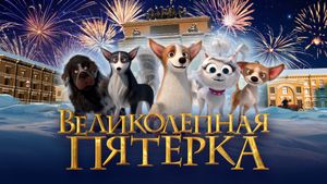 Dogs at the Opera's poster