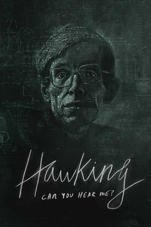 Hawking: Can You Hear Me?'s poster