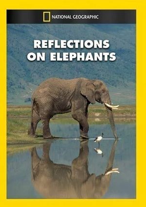 Reflections on Elephants's poster