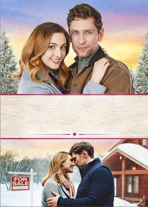 Cabin Connection's poster