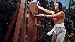 Invincible Shaolin's poster