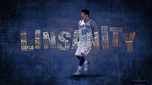 Linsanity's poster