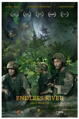 Endless River's poster