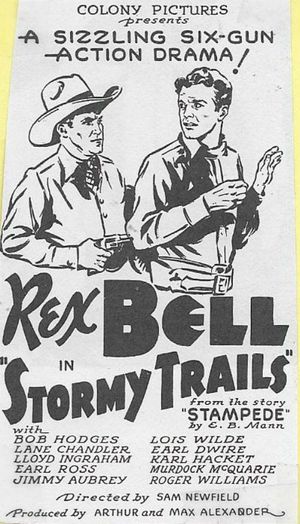 Stormy Trails's poster