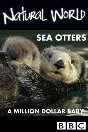 Sea Otters: A Million Dollar Baby's poster