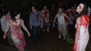 Ada: Zombilerin Dügünü's poster