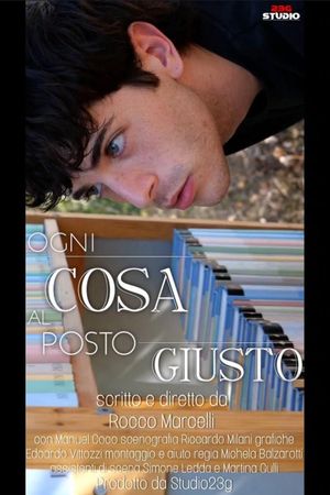 Ogni cosa al posto giusto's poster
