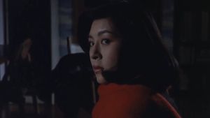 Female Doctor: Flesh Slave's poster
