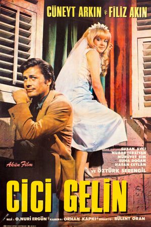 Cici gelin's poster