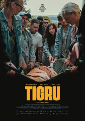 Day of the Tiger's poster
