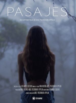 Pasajes's poster