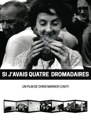 Si j'avais quatre dromadaires's poster