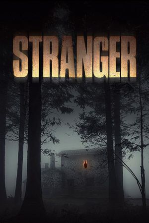 Stranger's poster