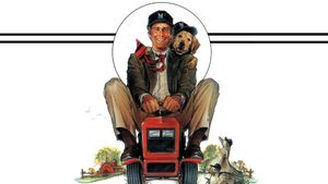 Funny Farm's poster