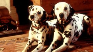 101 Dalmatians's poster