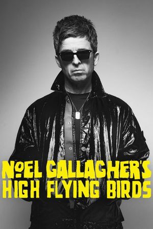 Noel Gallagher's High Flying Birds en concert au Zénith de Paris's poster image