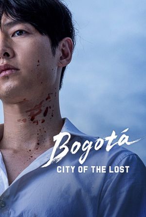 Bogota: City of the Lost's poster