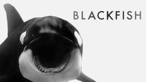Blackfish's poster