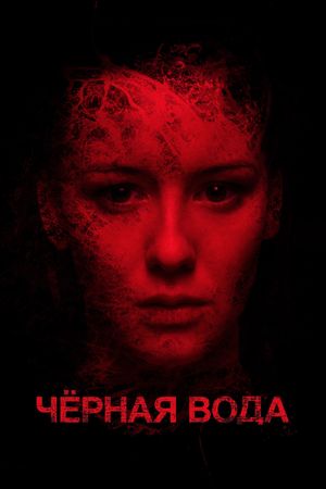 Dark Water's poster