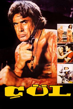 Çöl's poster