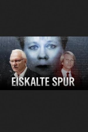 Eiskalte Spur's poster