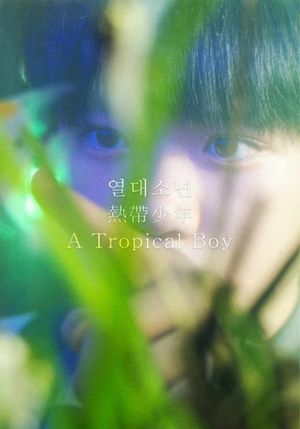 A Tropical Boy's poster