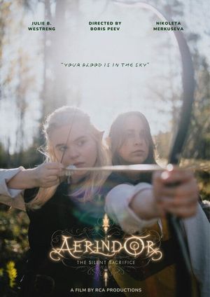 Aerindor: The silent sacrifice's poster