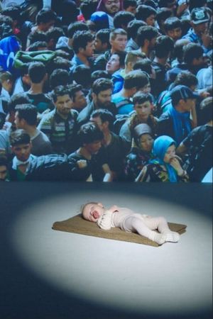 Kitten Or Refugee?'s poster image