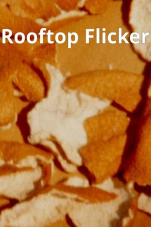 Rooftop Flicker's poster