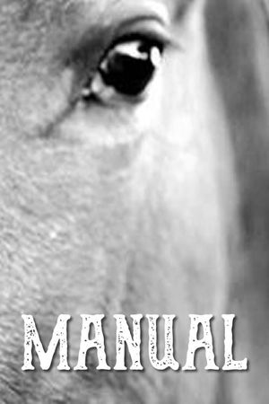 Manual's poster