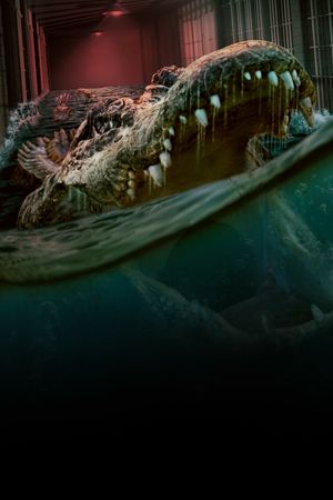 The Flood's poster