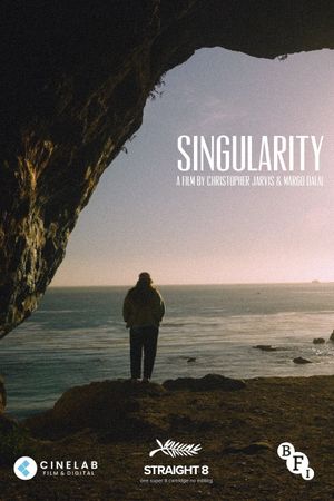 Singularity's poster