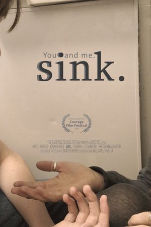 Sink's poster