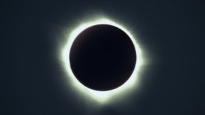 Dark Glasses's poster