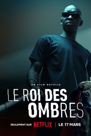In His Shadow's poster