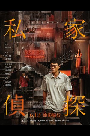Behind the Shadows's poster