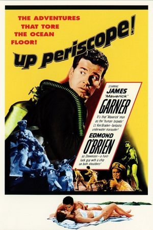 Up Periscope's poster