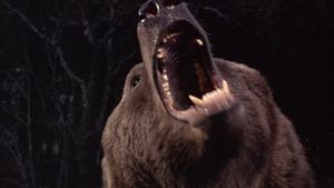 Grizzly's poster