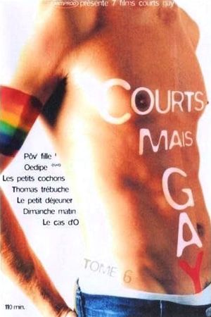 Courts mais GAY: Tome 6's poster