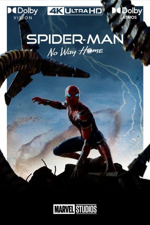 Spider-Man: No Way Home's poster