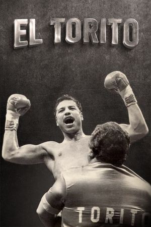 El Torito's poster