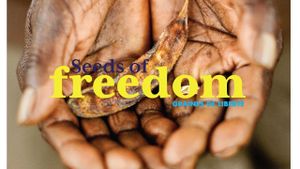 Seeds of Freedom's poster