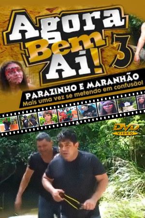 Agora Bem Ai! 3's poster