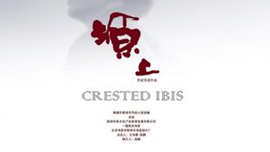 Crested Ibis's poster