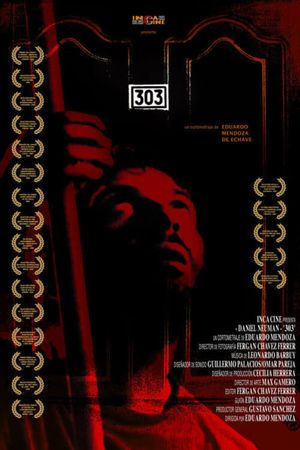 303's poster